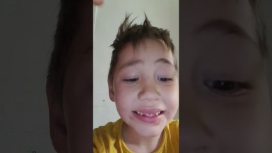 30 мая 2024 г. 30 мая 2024 г.