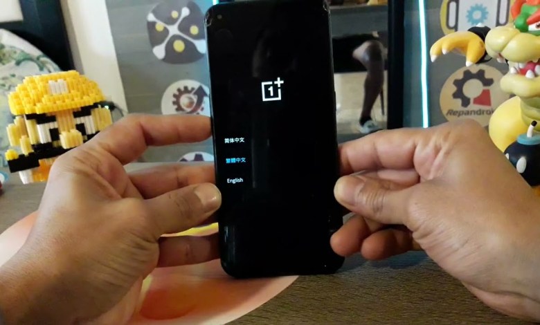 how to hard reset OnePlus Nord N20 SE delete, how to hard reset OnePlus Nord N20 SE delete,