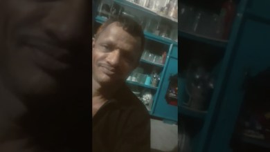 8 June 2024 8 June 2024