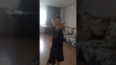 23 июня 2024 г. 23 июня 2024 г.