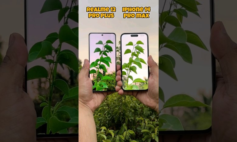 Realme 12 pro plus vs Iphone 14 pro max Camera Test Realme 12 pro plus vs Iphone 14 pro max Camera Test
