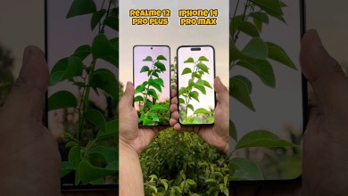 Realme 12 pro plus vs Iphone 14 pro max Camera Test Realme 12 pro plus vs Iphone 14 pro max Camera Test
