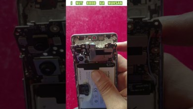 1 Nut and 8000 Rupees Loss / Oh brother kill me kill me / What 1 Nut and 8000 Rupees Loss / Oh brother kill me kill me / What