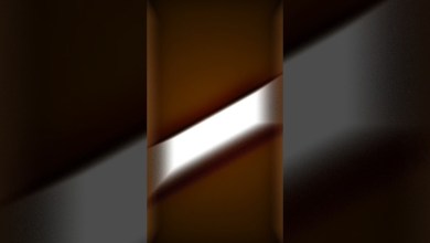 NOOB VS PRO NOOB TO PRO JOURNEY LVL 100 para NOOB VS PRO NOOB TO PRO JOURNEY LVL 100 para