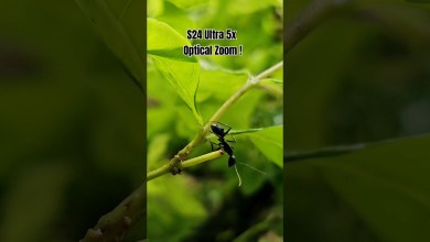 S24 Ultra 5x Optical Zoom #s24ultra #andriod S24 Ultra 5x Optical Zoom #s24ultra #andriod