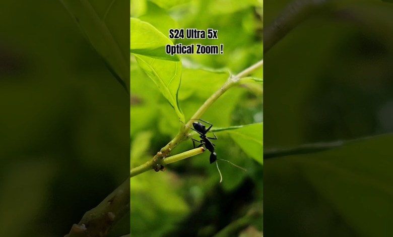 S24 Ultra 5x Optical Zoom #s24ultra #andriod S24 Ultra 5x Optical Zoom #s24ultra #andriod