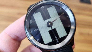 Dev Mode: Garmin Vivomove Trend Reset in Progress… Dev Mode: Garmin Vivomove Trend Reset in Progress…