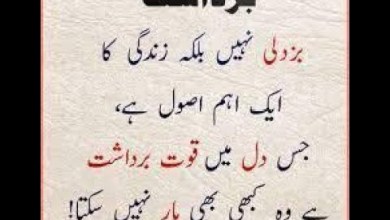 Best Urdu Quotes | Urdu Islamic Quotes | Best Quotes Best Urdu Quotes | Urdu Islamic Quotes | Best Quotes