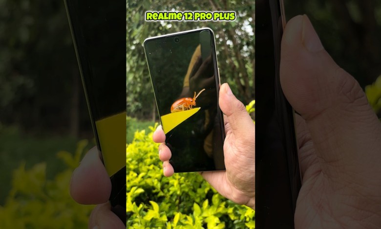 Realme 12 Pro Plus Zooming Test #shorts Realme 12 Pro Plus Zooming Test #shorts