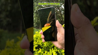 Realme 12 Pro Plus Zooming Test #shorts Realme 12 Pro Plus Zooming Test #shorts