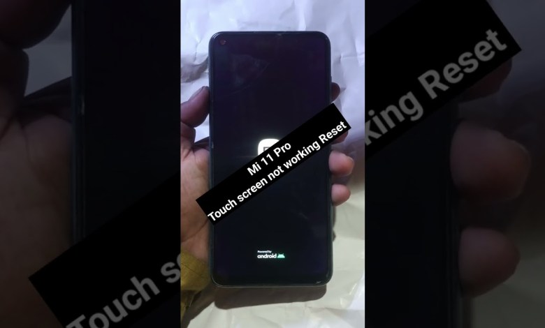 Mi 11 Pro touch screen not working Touch Hang Logo hang Mi 11 Pro touch screen not working Touch Hang Logo hang