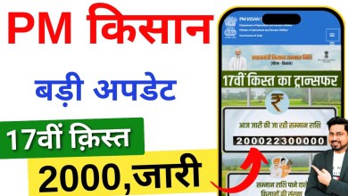 How to check pm kisan 17th installment date 2024. How to check pm kisan 17th installment date 2024.