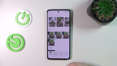 How to Recover Deleted Photos from OPPO Reno 12 FS How to Recover Deleted Photos from OPPO Reno 12 FS