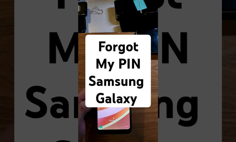 I Forgot my Pin Pattern or Password on my Samsung Phone I Forgot my Pin Pattern or Password on my Samsung Phone