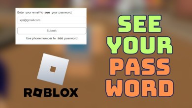 See Your Password in Roblox! || How to VIEW your See Your Password in Roblox! || How to VIEW your