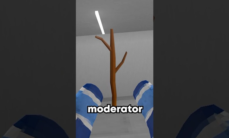 How to Become a Moderator in Gorilla Tag! How to Become a Moderator in Gorilla Tag!
