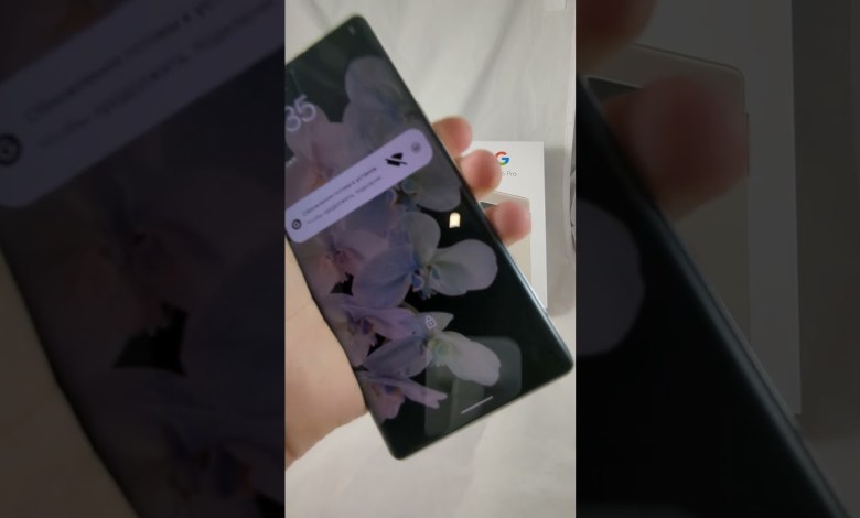 Google pixel 6 pro mdm unlock Google pixel 6 pro mdm unlock