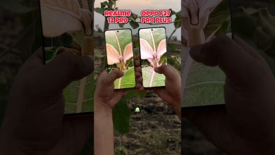 Realme 12 Pro vs Oppo F27 Pro Plus Camera Test #shorts Realme 12 Pro vs Oppo F27 Pro Plus Camera Test #shorts
