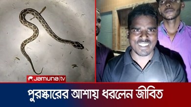 Rezaul caught a live Russell’s viper in the hope of reward Rezaul caught a live Russell’s viper in the hope of reward