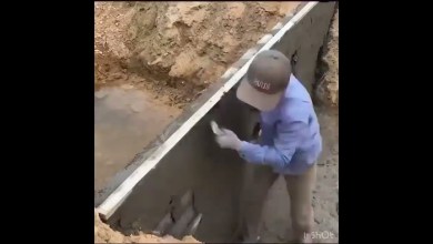 amazing people,amazing,people are amazing,amazing amazing people,amazing,people are amazing,amazing