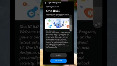 Samsung One UI 6.0 Update | Samsung S21Ultra / S22 Samsung One UI 6.0 Update | Samsung S21Ultra / S22