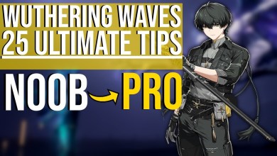Wuthering Waves Guide for DUMMIES: 25 Tips EVERY Player Wuthering Waves Guide for DUMMIES: 25 Tips EVERY Player