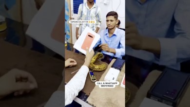 Samsung Galaxy S10 ||| ALAM MOBILE HUB Samsung Galaxy S10 ||| ALAM MOBILE HUB