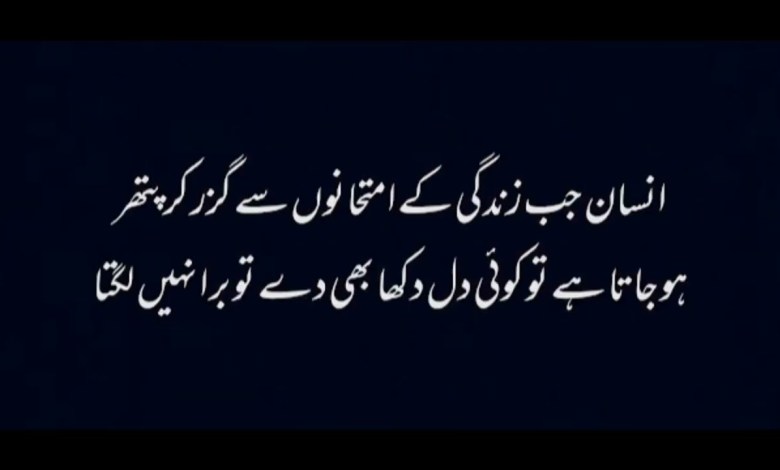 7 Best Aqwal e zareen in Urdu | Best Quotes in Hind | 7 Best Aqwal e zareen in Urdu | Best Quotes in Hind |