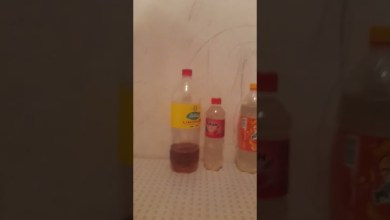 19 июня 2024 г. 19 июня 2024 г.