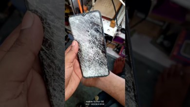 14 June 2024 14 June 2024