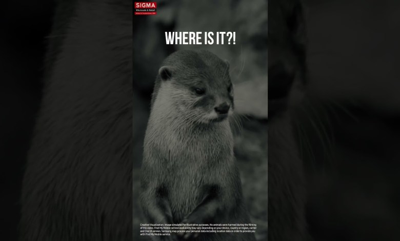 Samsung – Where did I lose my phone? We’ve all Samsung – Where did I lose my phone? We’ve all