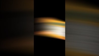 top upcoming best 5g smartphones under budget top upcoming best 5g smartphones under budget