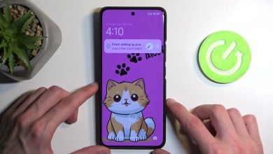 How to Perform a Hard Reset via Recovery Mode on Xiaomi How to Perform a Hard Reset via Recovery Mode on Xiaomi