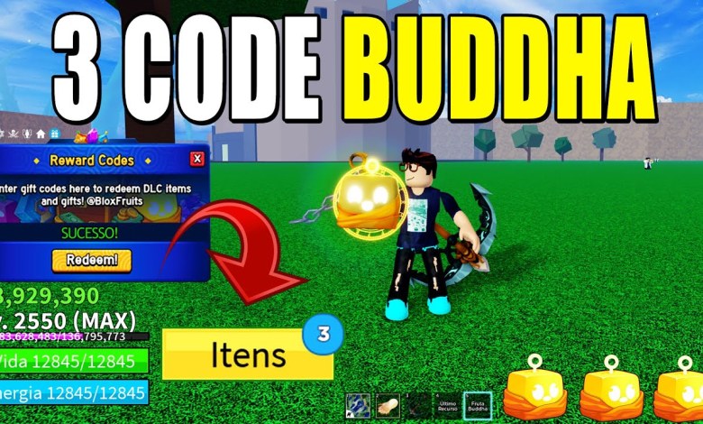 3 NEW BUDDHA FRUIT CODES IN BLOX FRUITS + 28 3 NEW BUDDHA FRUIT CODES IN BLOX FRUITS + 28