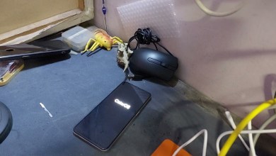 how to hard reset oppo a38 pattern pin code password how to hard reset oppo a38 pattern pin code password