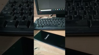 oppo Reno 10 5g frp bypass unlock the|oppo Reno 10 oppo Reno 10 5g frp bypass unlock the|oppo Reno 10