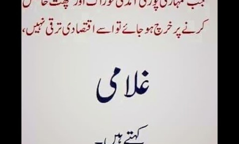 Aqwal and Zareen in Urdu 312 | Urdu Quotes | #shorts Aqwal and Zareen in Urdu 312 | Urdu Quotes | #shorts