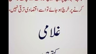 Aqwal and Zareen in Urdu 312 | Urdu Quotes | #shorts Aqwal and Zareen in Urdu 312 | Urdu Quotes | #shorts