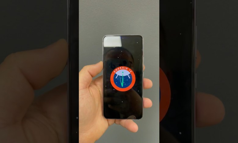 OneUI 6 / Android 14 – Samsung Galaxy S22 OneUI 6 / Android 14 – Samsung Galaxy S22