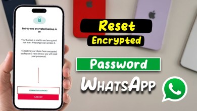 How to Reset Encrypted Password WhatsApp – Full Guide How to Reset Encrypted Password WhatsApp – Full Guide
