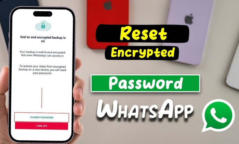 How to Reset Encrypted Password WhatsApp – Full Guide How to Reset Encrypted Password WhatsApp – Full Guide