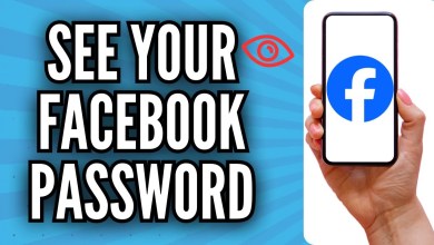 How To See Your Facebook Password if You Forgot it How To See Your Facebook Password if You Forgot it