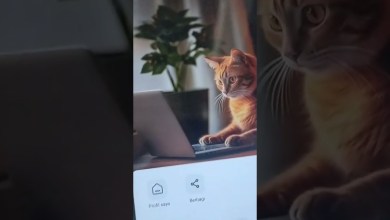 FRPBYPASS VIVO Y27 security 1JUNI 2024 #smartphone FRPBYPASS VIVO Y27 security 1JUNI 2024 #smartphone