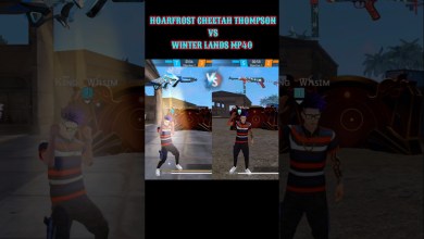 LEGENDARY THOMSON VS LEGENDARY MP40 para LEGENDARY THOMSON VS LEGENDARY MP40 para