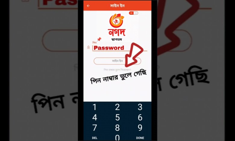 Rules for resetting cash pin How to Reset Nagad PIN Rules for resetting cash pin How to Reset Nagad PIN