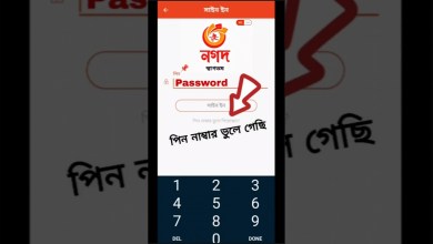 Rules for resetting cash pin How to Reset Nagad PIN Rules for resetting cash pin How to Reset Nagad PIN