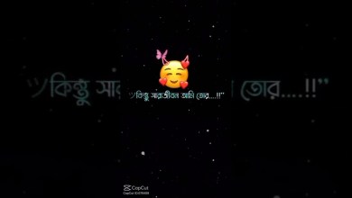 24 May 2024 24 May 2024