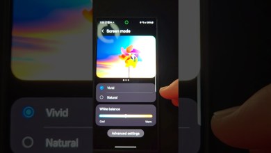 S24 Ultra Feb Security Patch Update Washed Display S24 Ultra Feb Security Patch Update Washed Display
