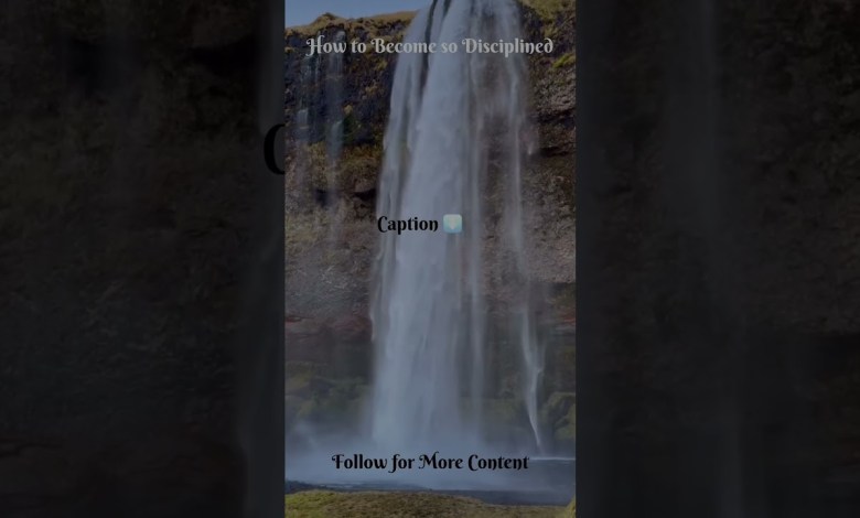 How to Become so DisciplinedRead Pinned How to Become so DisciplinedRead Pinned