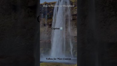 How to Become so DisciplinedRead Pinned How to Become so DisciplinedRead Pinned